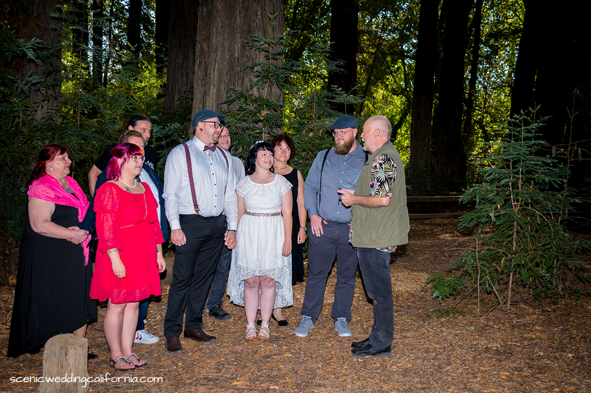 Heiraten in den Muir Woods oder im Yosemite Park