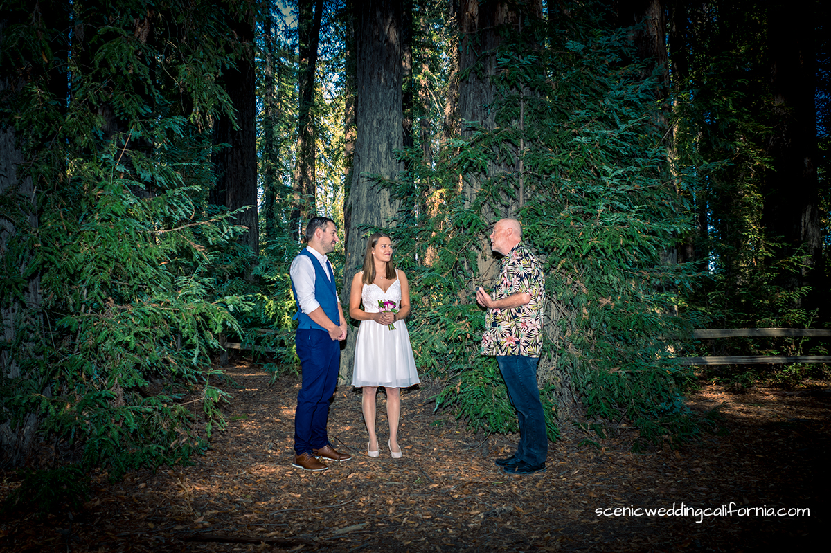 Hilfe bei der Behörden-Beantragung einer Marriage License für eine Heirat im Redwood Wald ist in unseren Hochzeitspaketen enthalten